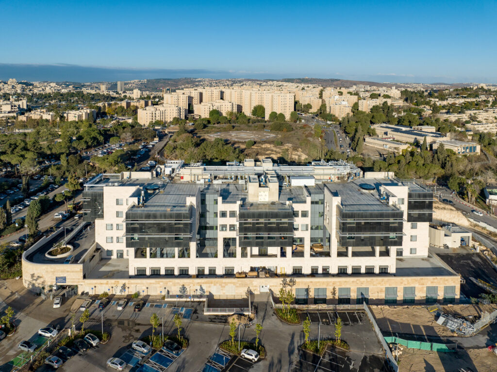 שיקום הדסה - הר הצופים