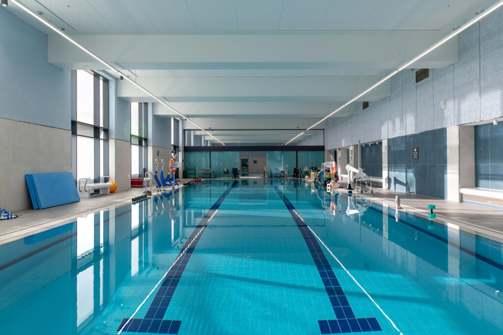 שיקום הדסה - הר הצופים